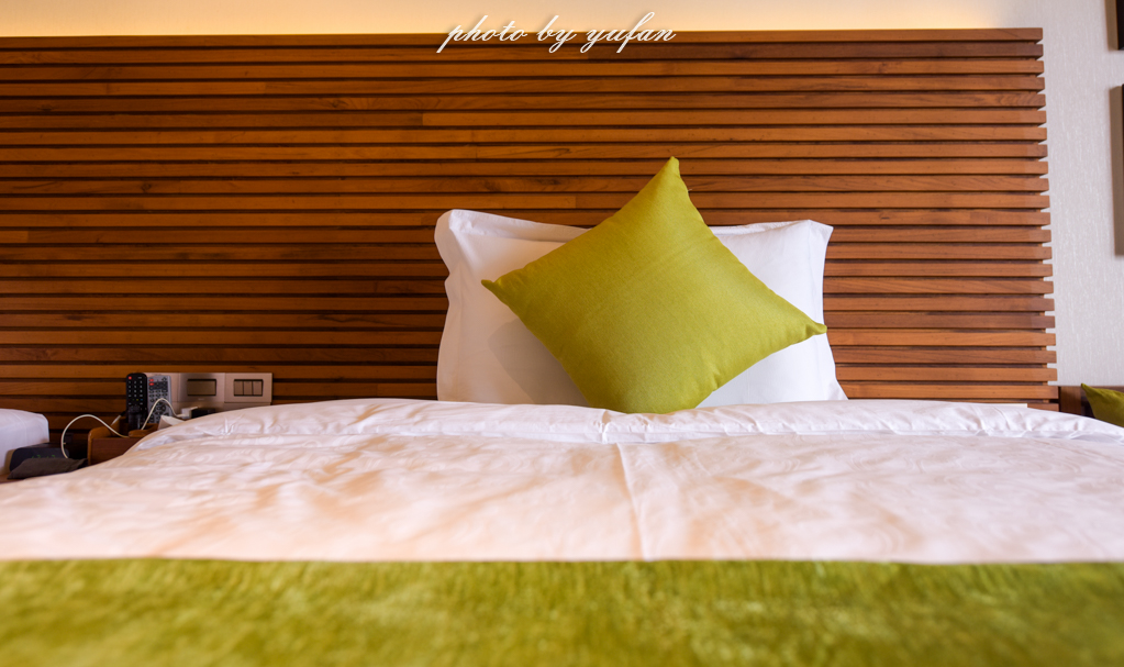 云端上的世外桃源，看看浇灌牛奶和土鸡蛋的有机乌龙茶长成啥样