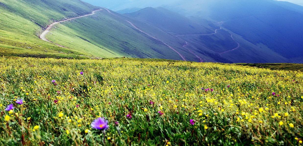 求姻缘很灵验的十大庙,十大求姻缘很灵验的庙