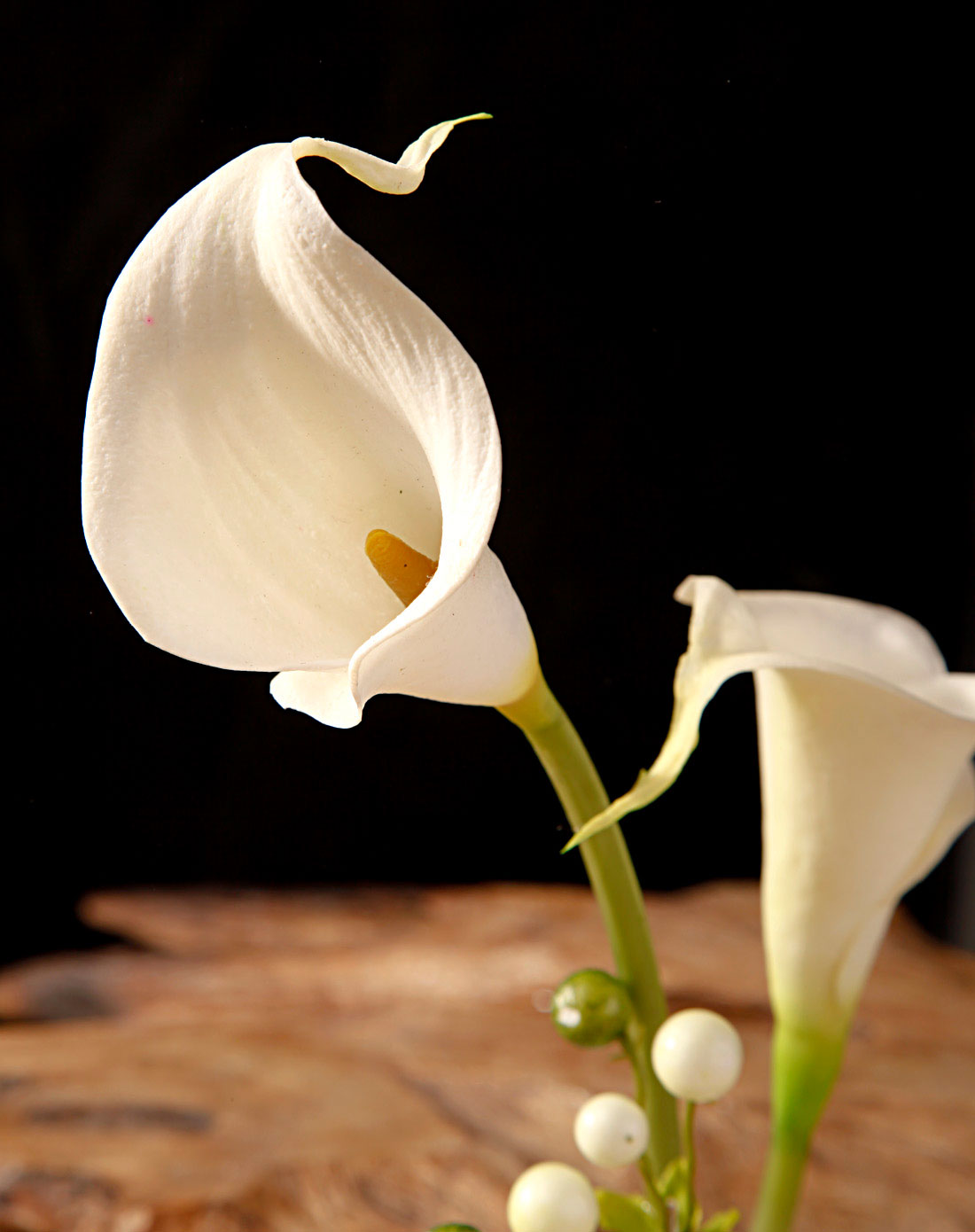 马蹄莲能在阳光不好的地方养吗,马蹄莲有毒吗适合在室内养吗