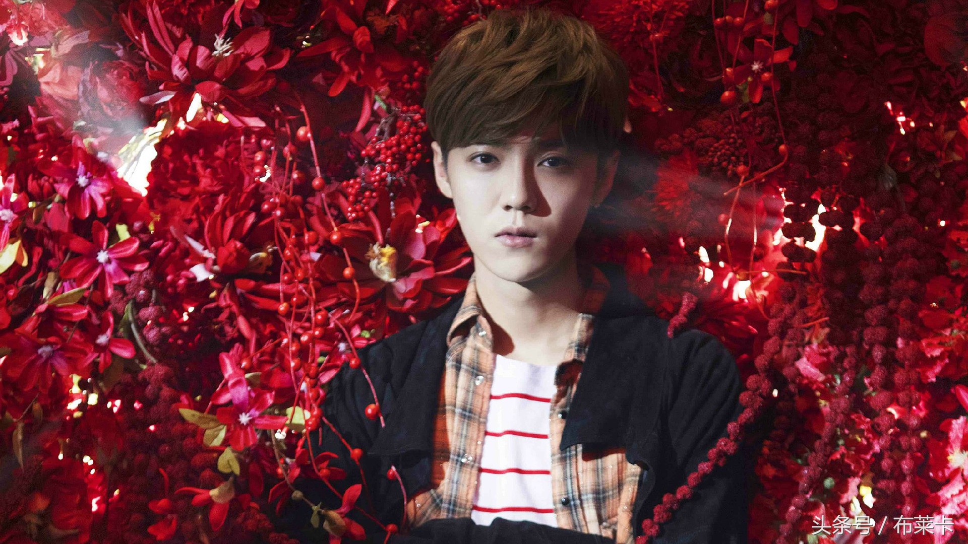 鹿晗心愿季图片壁纸,鹿晗最帅的照片壁纸