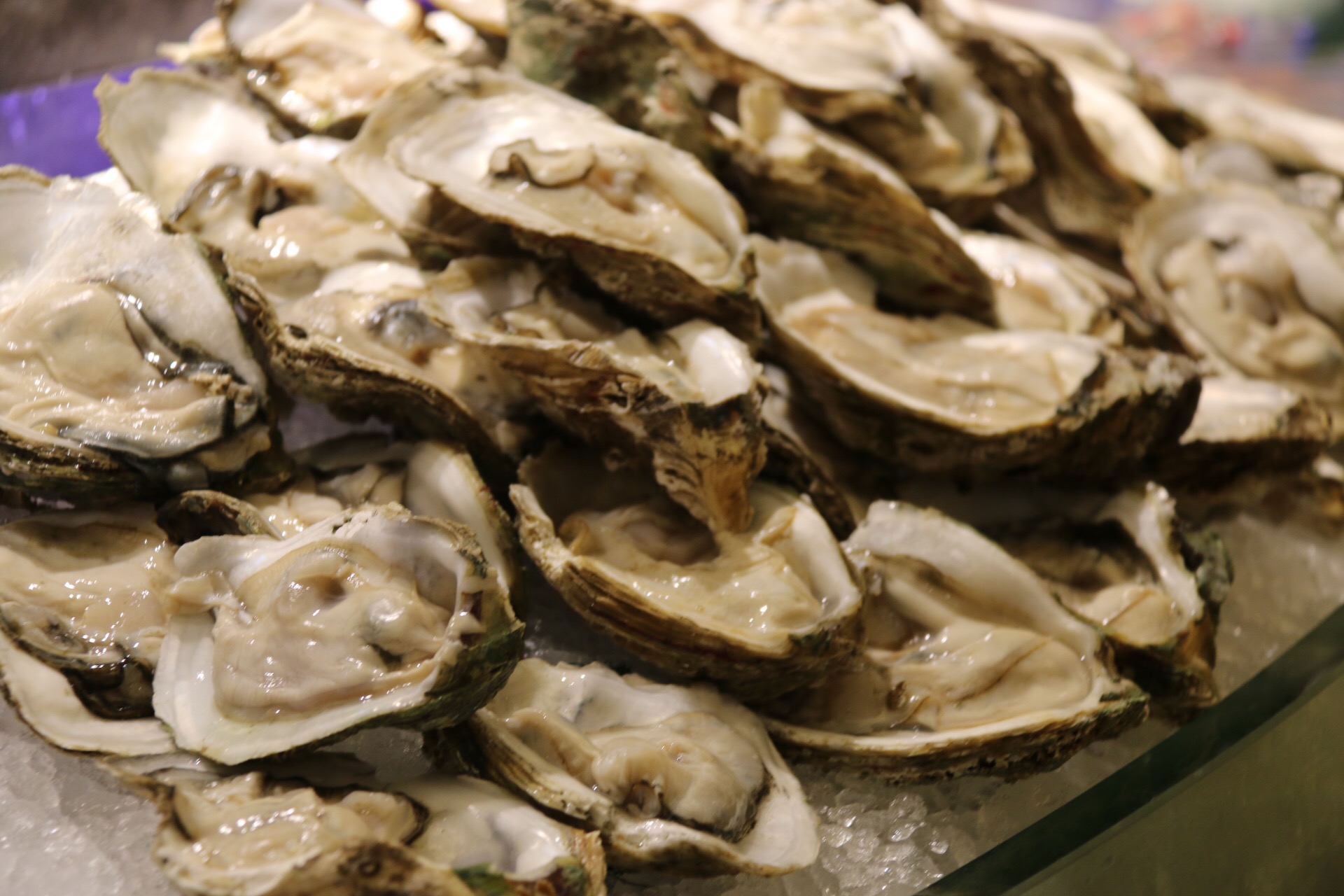 新鲜海洋海鲜,大海的味道不容错过冰鲜海鲜