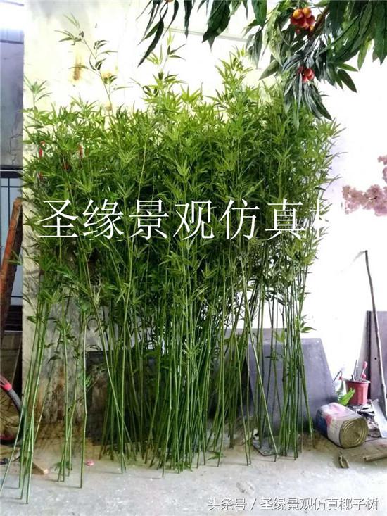 仿真粗竹子植物,似竹子的室内植物