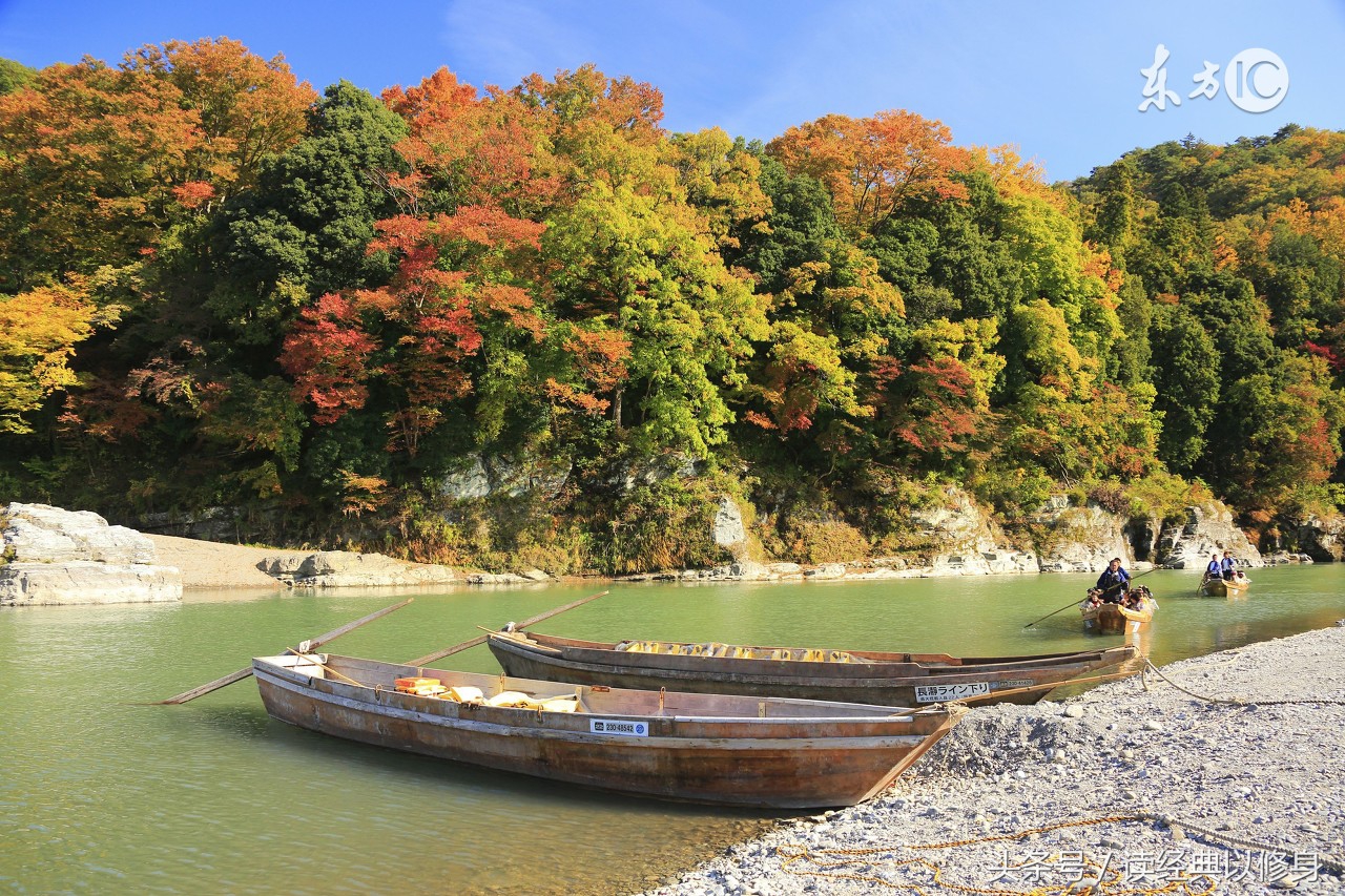 己所不欲勿施于人完整版,己所不欲勿施于人论语