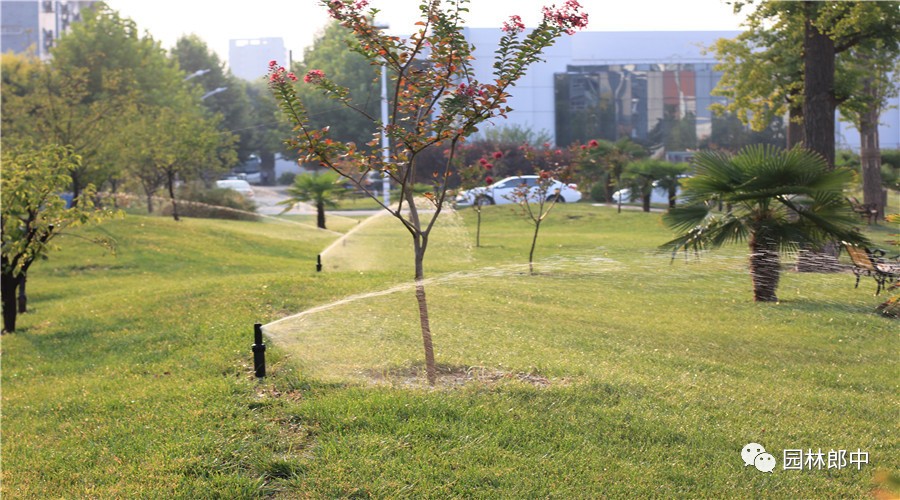 园林养护这个工作怎么样,园林绿地建植与养护管理