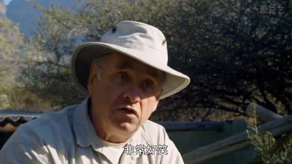 5只平头哥大战一头狮子,狮子隔着铁网吼了平头哥一声