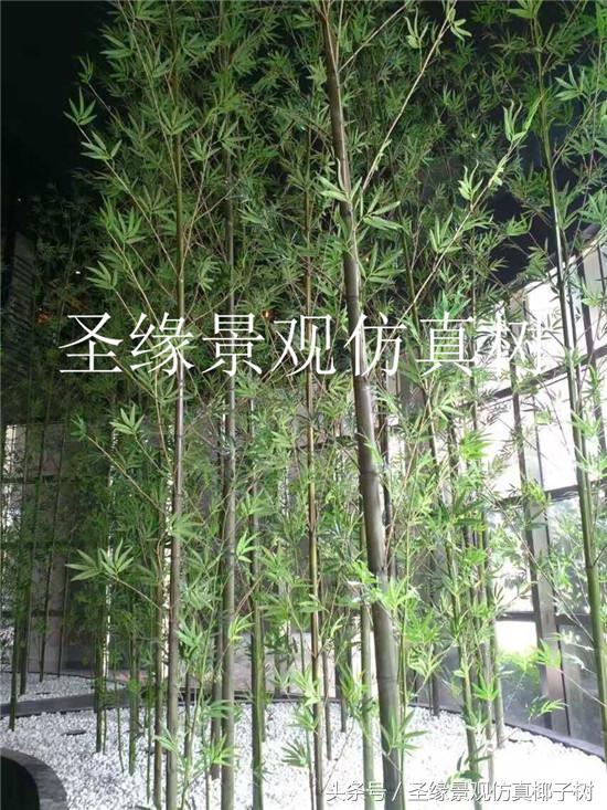 仿真粗竹子植物,似竹子的室内植物