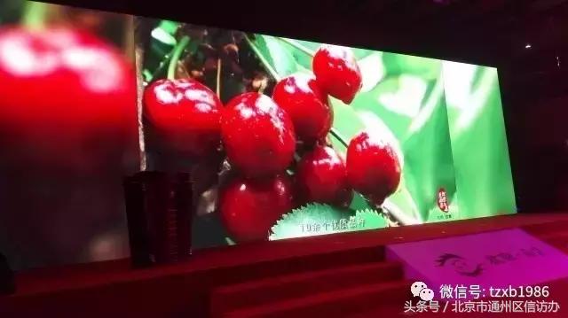 通州西集特点小镇,通州区生态园