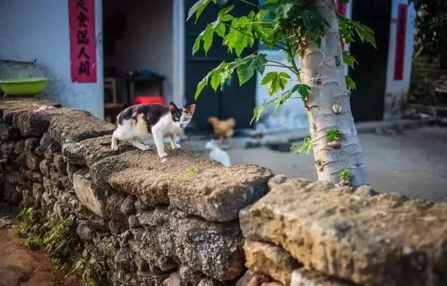 海上香格里拉旅游,汕尾金町湾海上香格里拉
