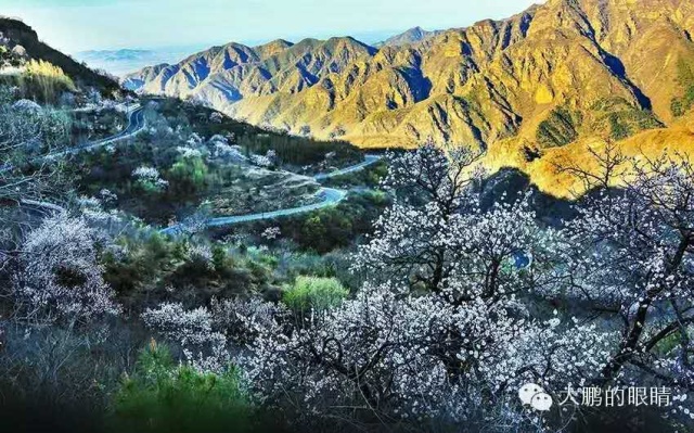 王友河：写诗是一种修为之二