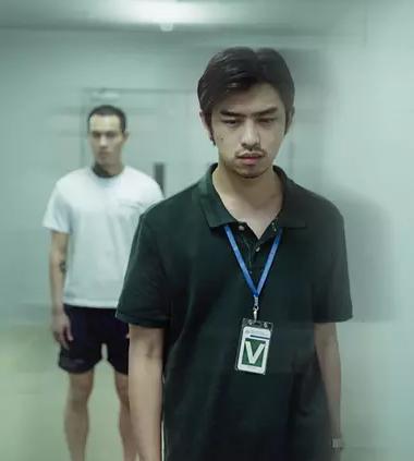 花少三陈柏霖人生哲学,如何看待陈柏霖在花少中的表现