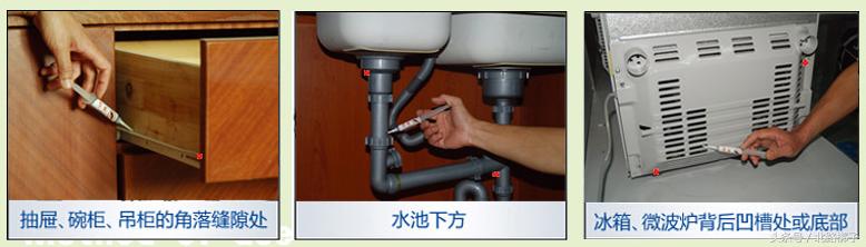 蟑螂药杀蟑饵剂如何使用,蟑螂药杀蟑胶饵灭蟑螂一窝端