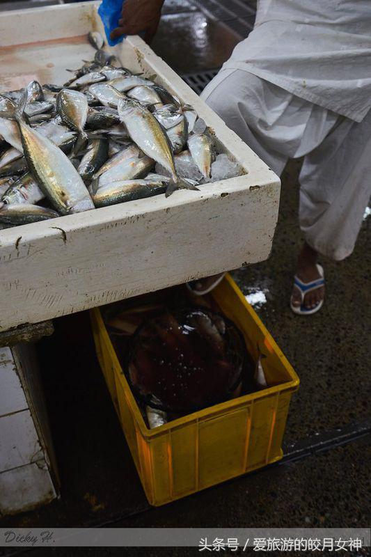 迪拜潮玩如东,迪拜深度游必买纪念品