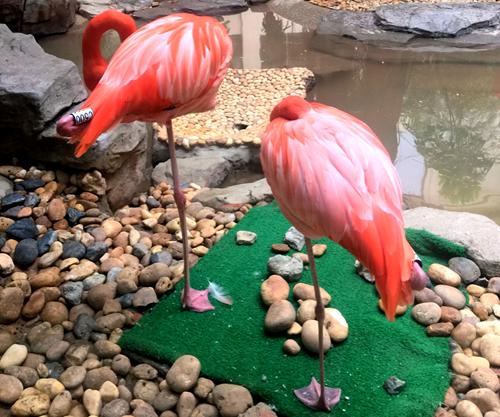 带你玩转长隆动物园,一天玩转长隆欢乐世界和动物园