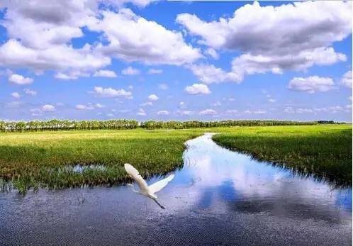 哈尔滨到佳木斯路上好玩的,哈尔滨到佳木斯怎么去最省钱