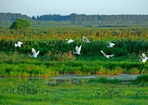 哈尔滨到佳木斯路上好玩的,哈尔滨到佳木斯怎么去最省钱
