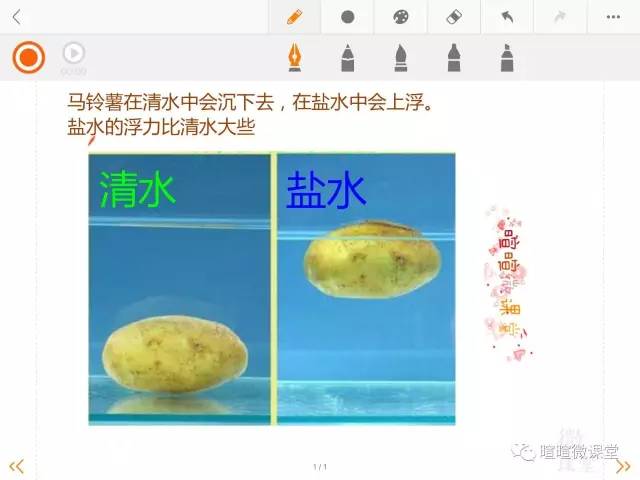 小学三年级下科学动画,科学卡通图案