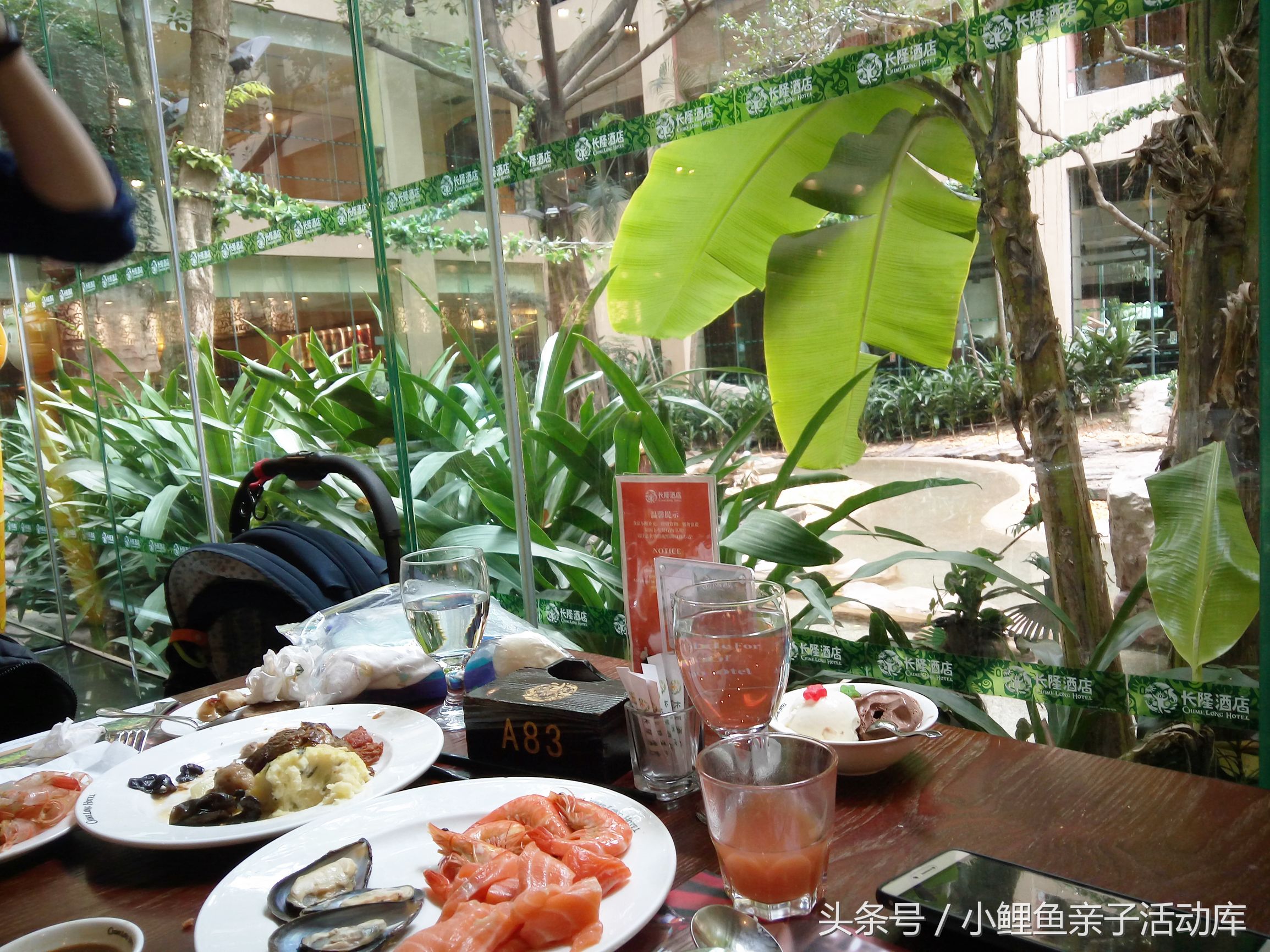 长隆动物园亲子游攻略,广州长隆4园2天1夜亲子游攻略