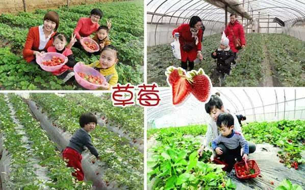 浙江五一旅游攻略亲子游,五一山东小众旅游亲子游