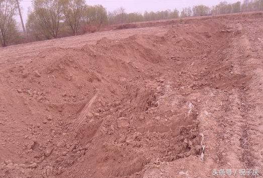 目前农村土地流转最好的办法,农村土地流转的技巧有哪些