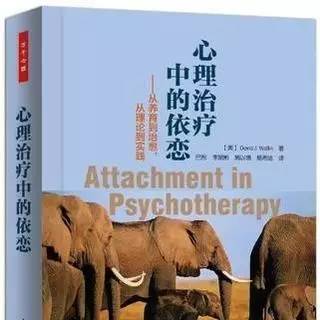 心理书籍治愈系,心理治疗中的依恋