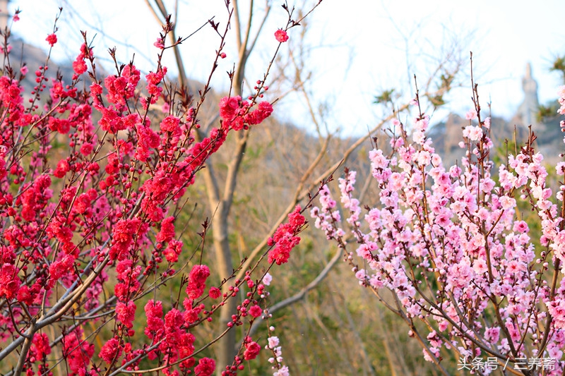 忆江南平仄填词,宋词填词模板忆江南