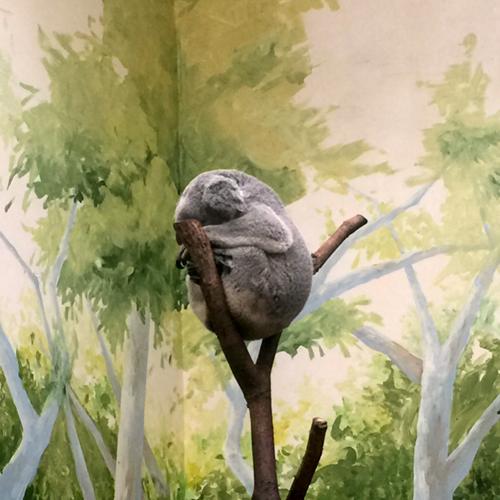 带你玩转长隆动物园,一天玩转长隆欢乐世界和动物园