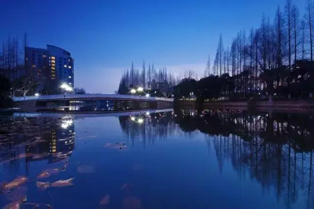 魔都各大高校里竟藏了这么多人少景美的秘密好地方，假期约起来！