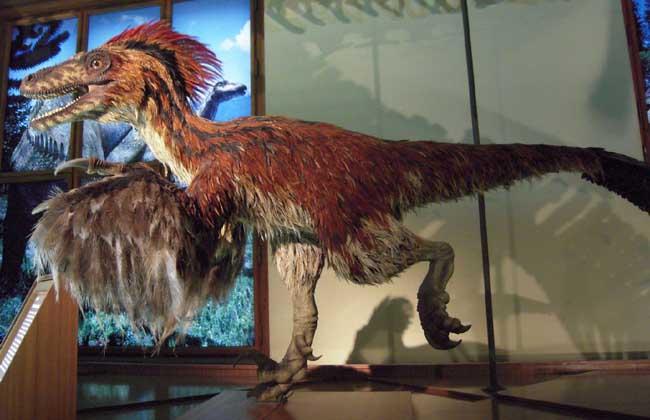 关于恐龙你都知道什么秘密习性,关于恐龙你所不知道的几个真相