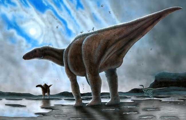 关于恐龙你都知道什么秘密习性,关于恐龙你所不知道的几个真相