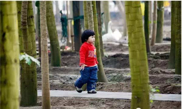 浙江五一旅游攻略亲子游,五一山东小众旅游亲子游