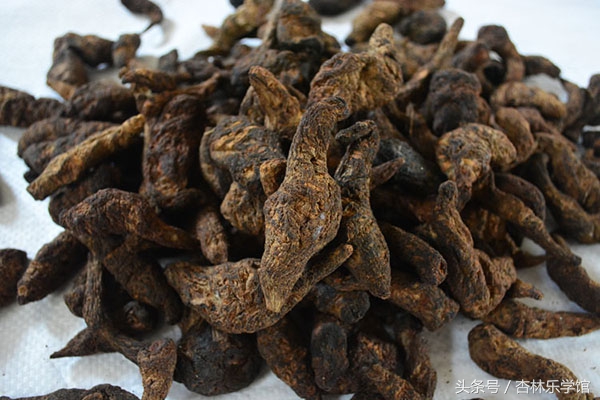 生地熟地有清热养阴的功效,血虚风燥用熟地黄还是生地黄