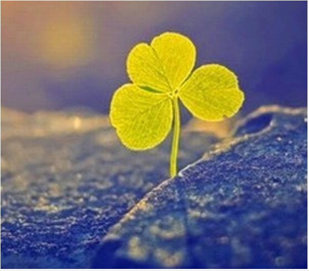 我荒芜了整个青春，只为等你，阳光照进你我眼里心里