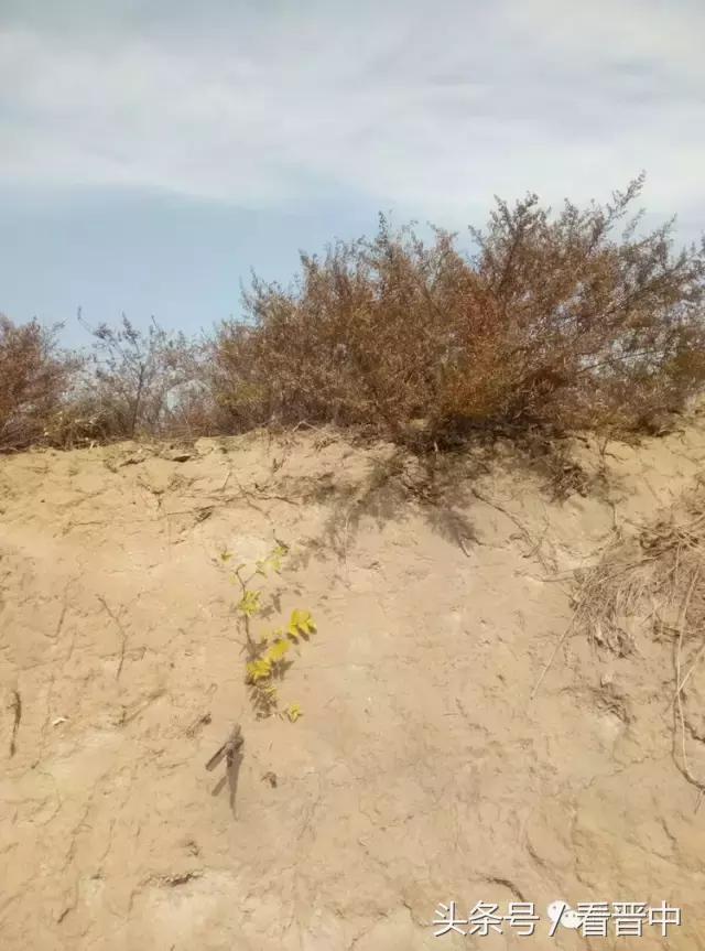 祁县三个村,祁县所有村名单