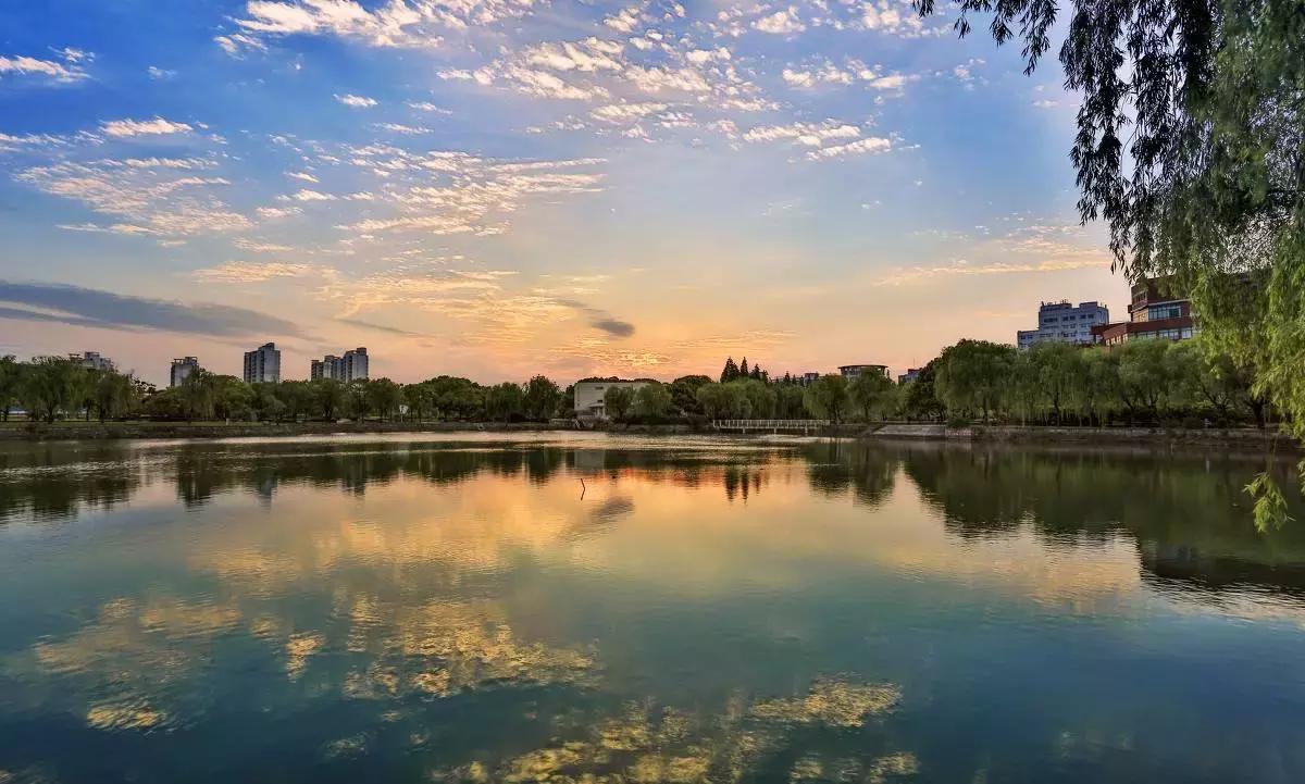 魔都各大高校里竟藏了这么多人少景美的秘密好地方，假期约起来！