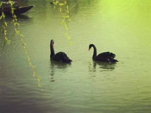 魔都各大高校里竟藏了这么多人少景美的秘密好地方，假期约起来！