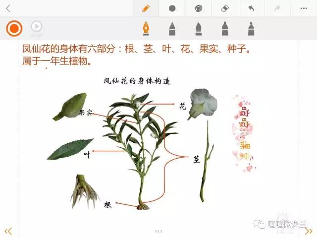 小学三年级下科学动画,科学卡通图案