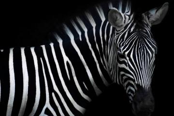 四月份的作品,四月获奖名单