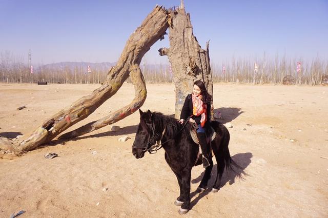 天漠张家口,张家口怀来县天漠