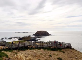 澳洲圣诞节的夏天,澳大利亚跨年夏天