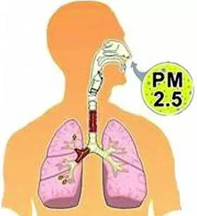 明月几时有，防霾护肺的法子必须有！