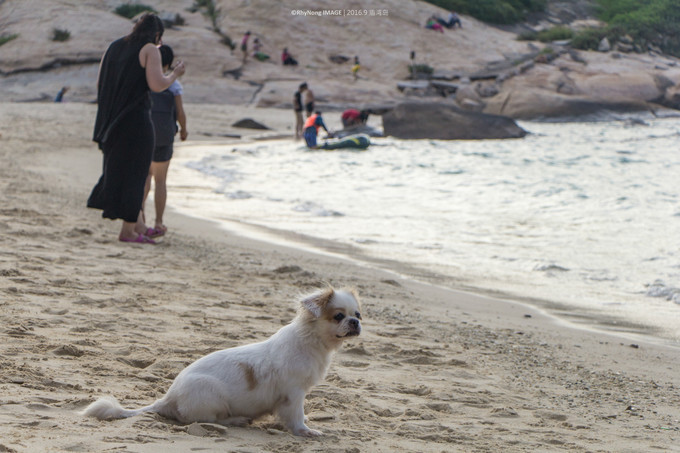 夏日沙滩玩水letsgo,letsgo夏日旅行