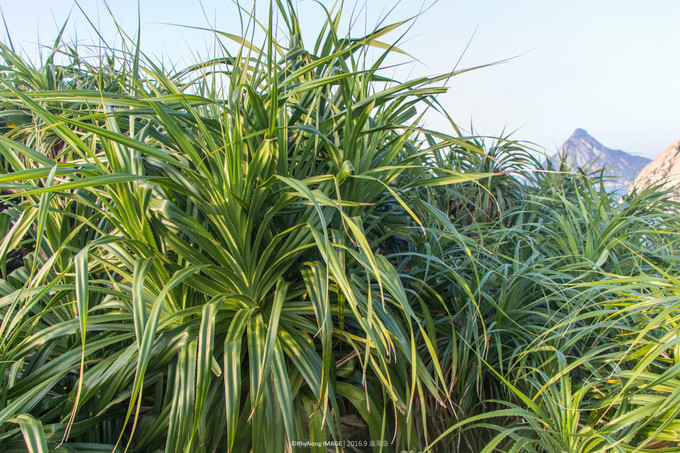 夏日沙滩玩水letsgo,letsgo夏日旅行