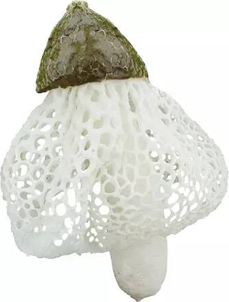 用7折召唤幸运星座！这家火爆店竟然还把长寿村广西巴马的神奇秘密带到了苏州！