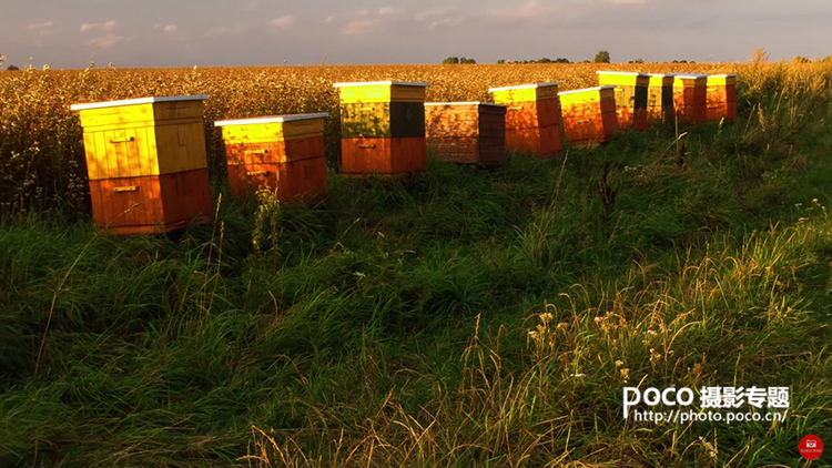 摄影师必备灯光技巧有哪些,详细解读人像摄影中的用光技巧