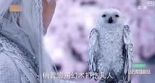 哦，拿什么拯救你，我尊贵的又傻又白又甜的王子