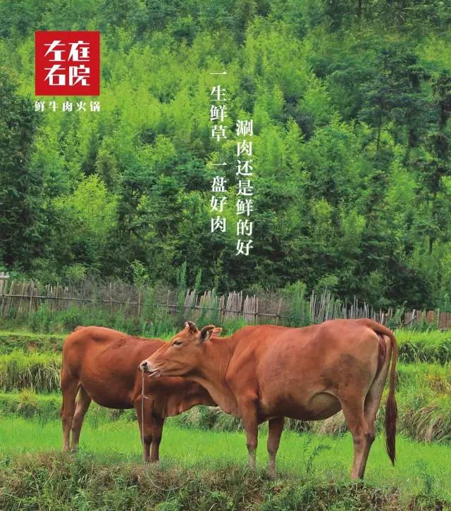 用7折召唤幸运星座！这家火爆店竟然还把长寿村广西巴马的神奇秘密带到了苏州！