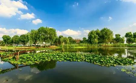 苏州免费景点一日游最佳路线,苏州景区免费景点大全