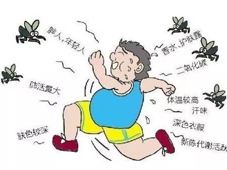 蚊子那么讨厌为什么不灭绝,蚊子那么多怎样处理呢