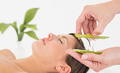 食用芦荟怎么买,购买芦荟的美容护肤产品