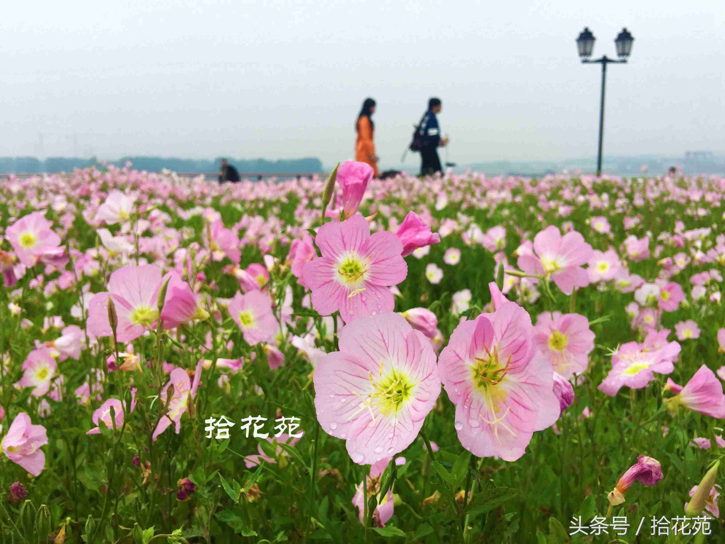 福州五一海边旅游推荐,福州五一海边游